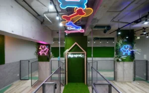 日本初のハスキー専門カフェ「HUSKY CAFE TOKYO」の新店舗を手がけました
