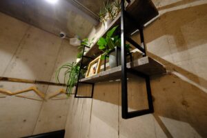 打ちっぱなしコンクリートの中にあたたかさを、木とグリーンで魅せる【Bistro 碧い月】