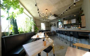 打ちっぱなしコンクリートの中にあたたかさを、木とグリーンで魅せる【Bistro 碧い月】
