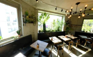 打ちっぱなしコンクリートの中にあたたかさを、木とグリーンで魅せる【Bistro 碧い月】