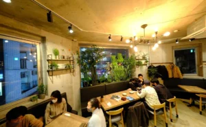 打ちっぱなしコンクリートの中にあたたかさを、木とグリーンで魅せる【Bistro 碧い月】