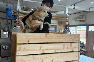 東京最大級のドッグラン｜原宿に誕生したDOG RUN TOKYOの店舗づくり